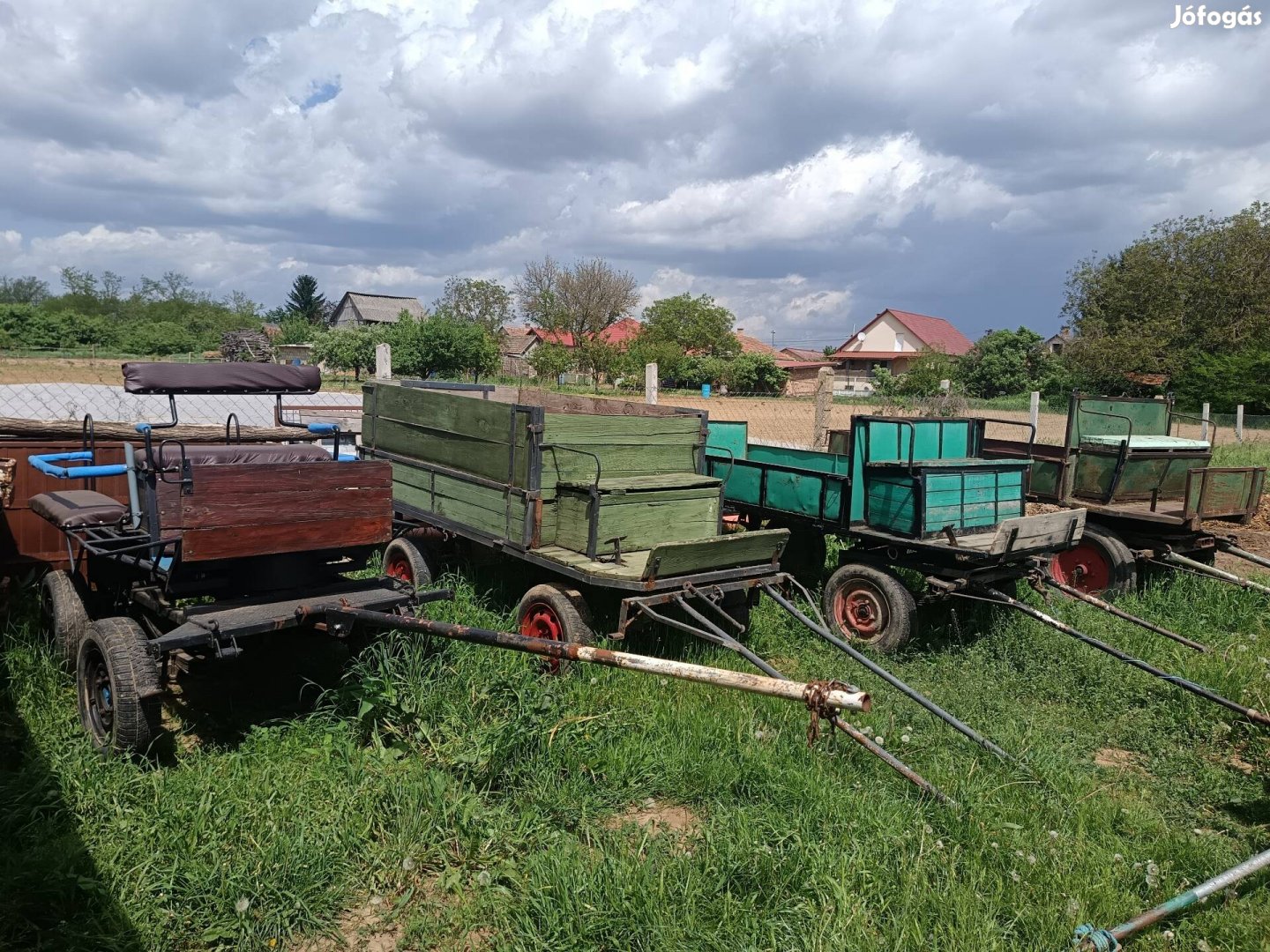 ló, csikó, póni jártató, lovaskocsik, 
