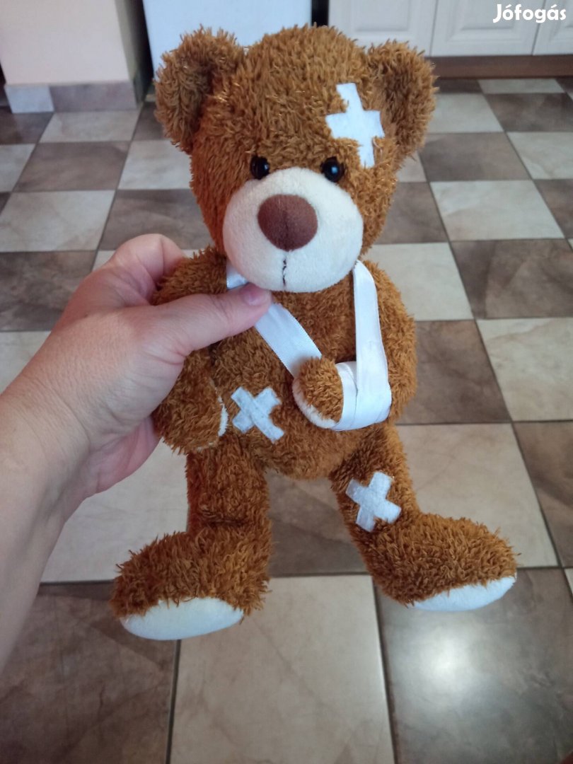 maci, mackó, medve, sebészetileg ellátott, ülő