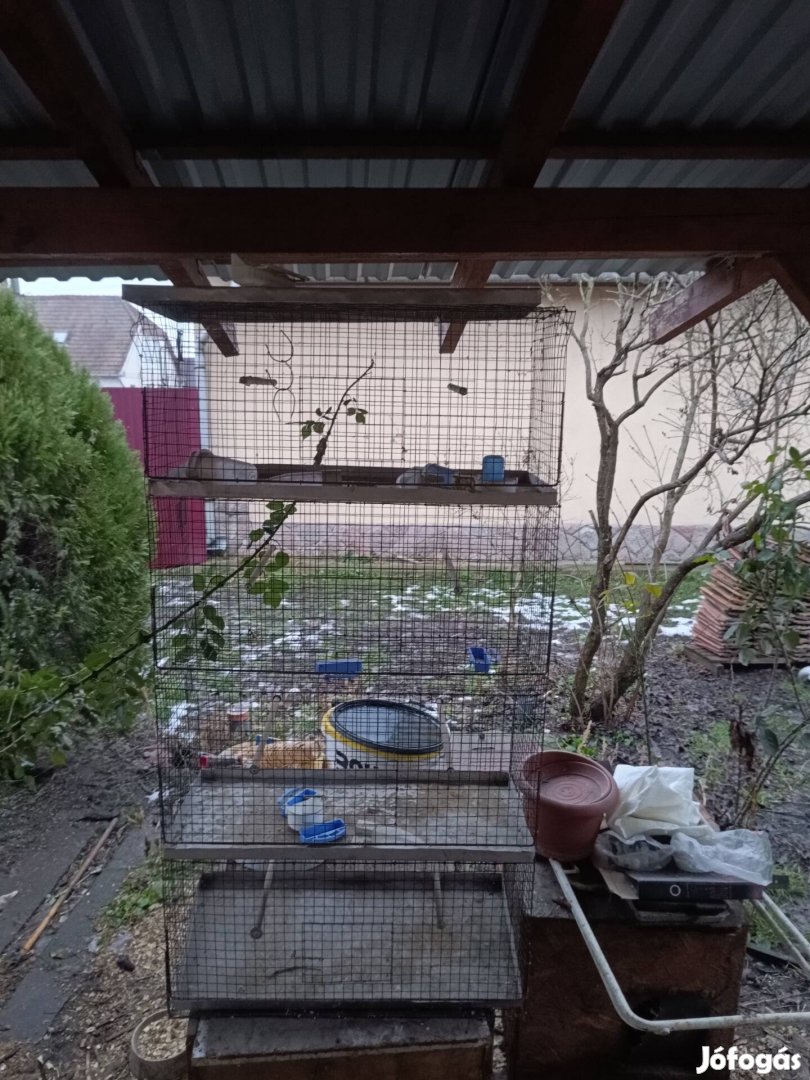 madar kalitka 70x30130