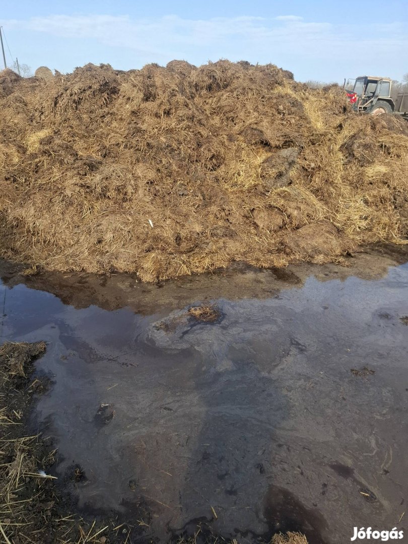 marha trágya szervestrágya nagy tételben