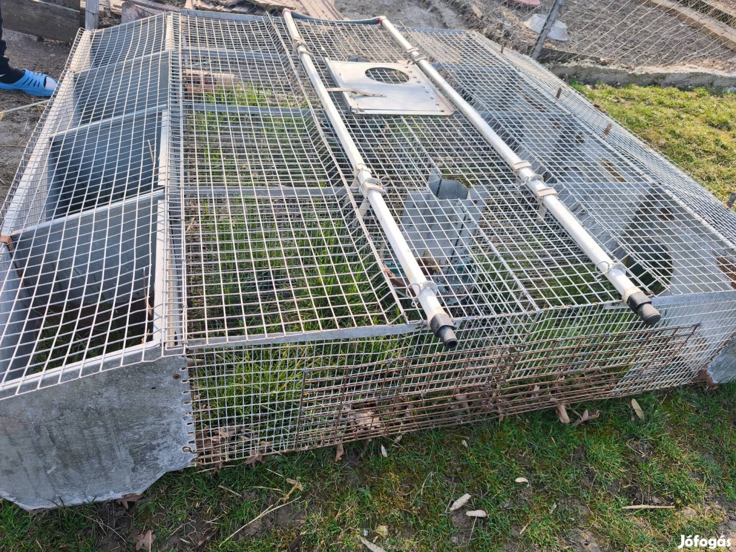 nyúl ketrec, fiataltató ketrec