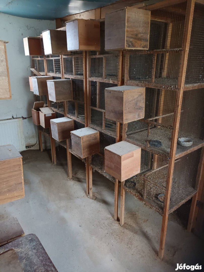 papagáj ketrecek eladók