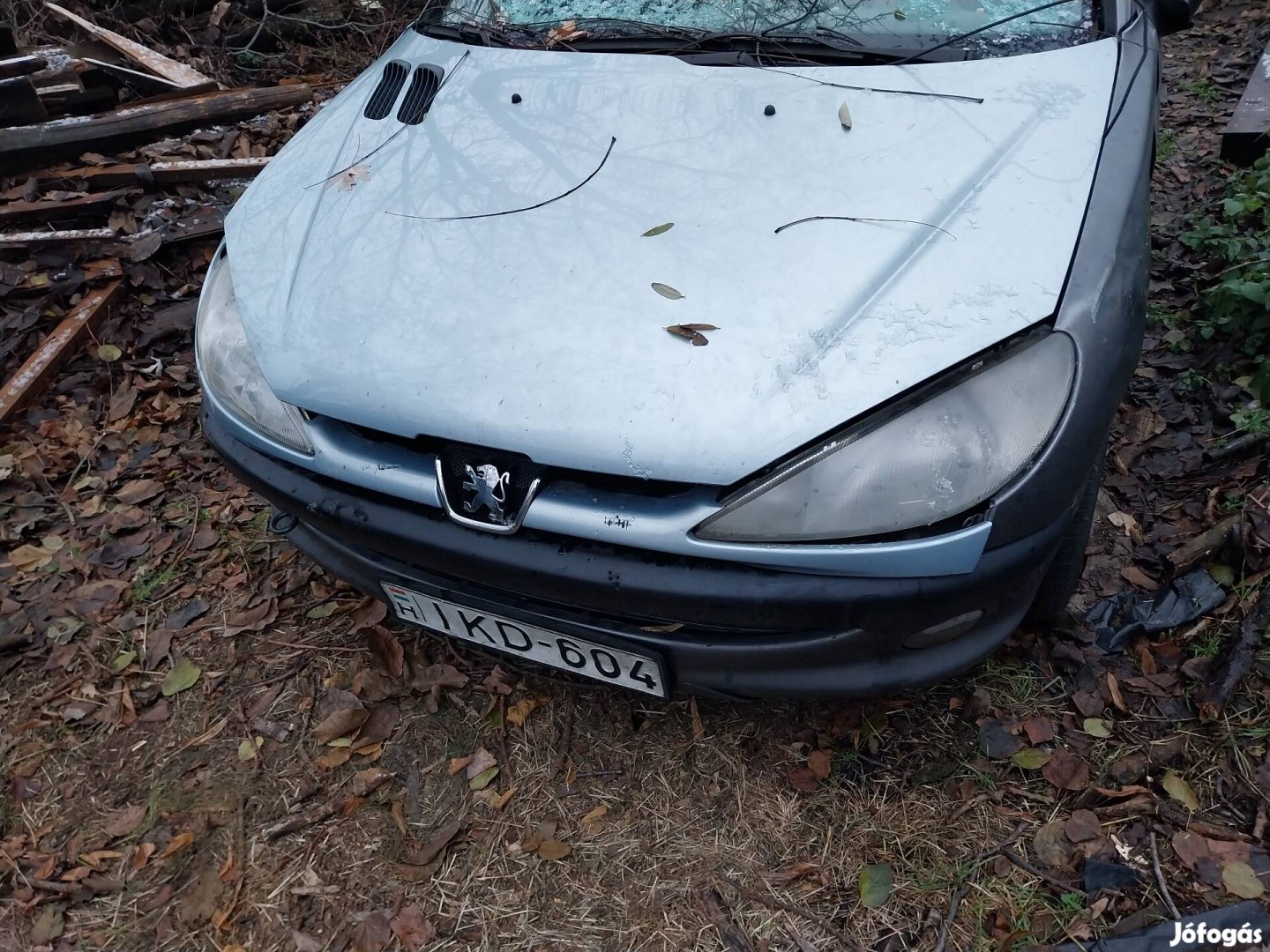 peugeot 206 1.9D bontódik