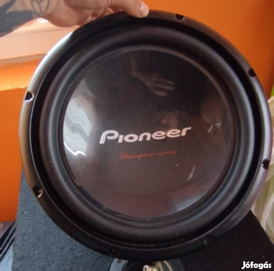 pioneer ts w309d4