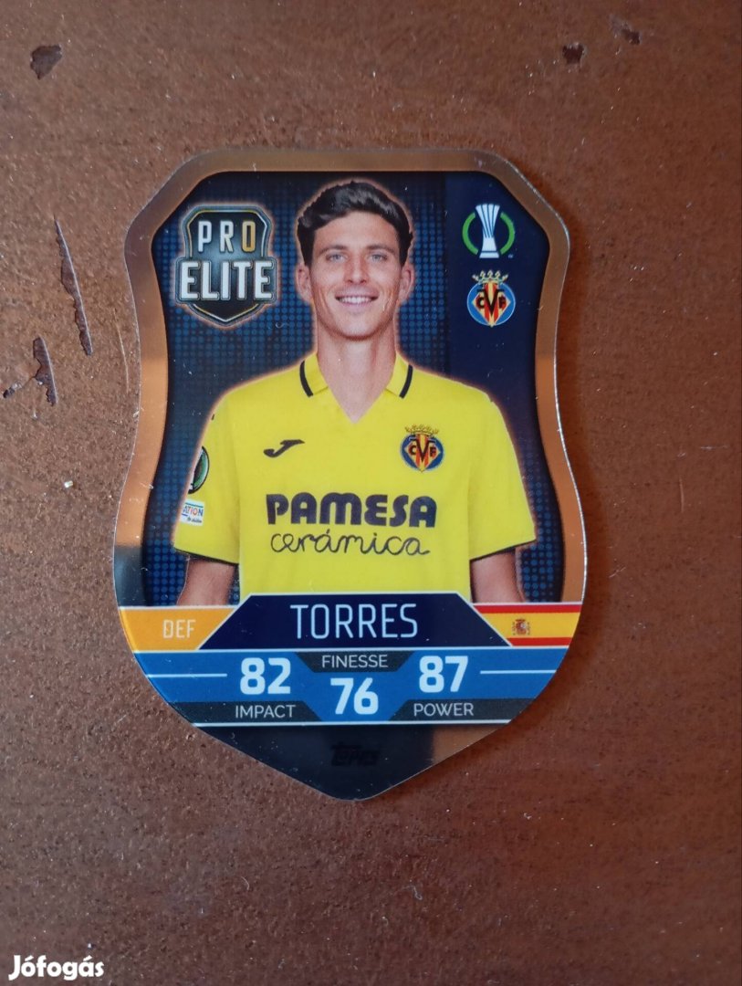 shield Torres