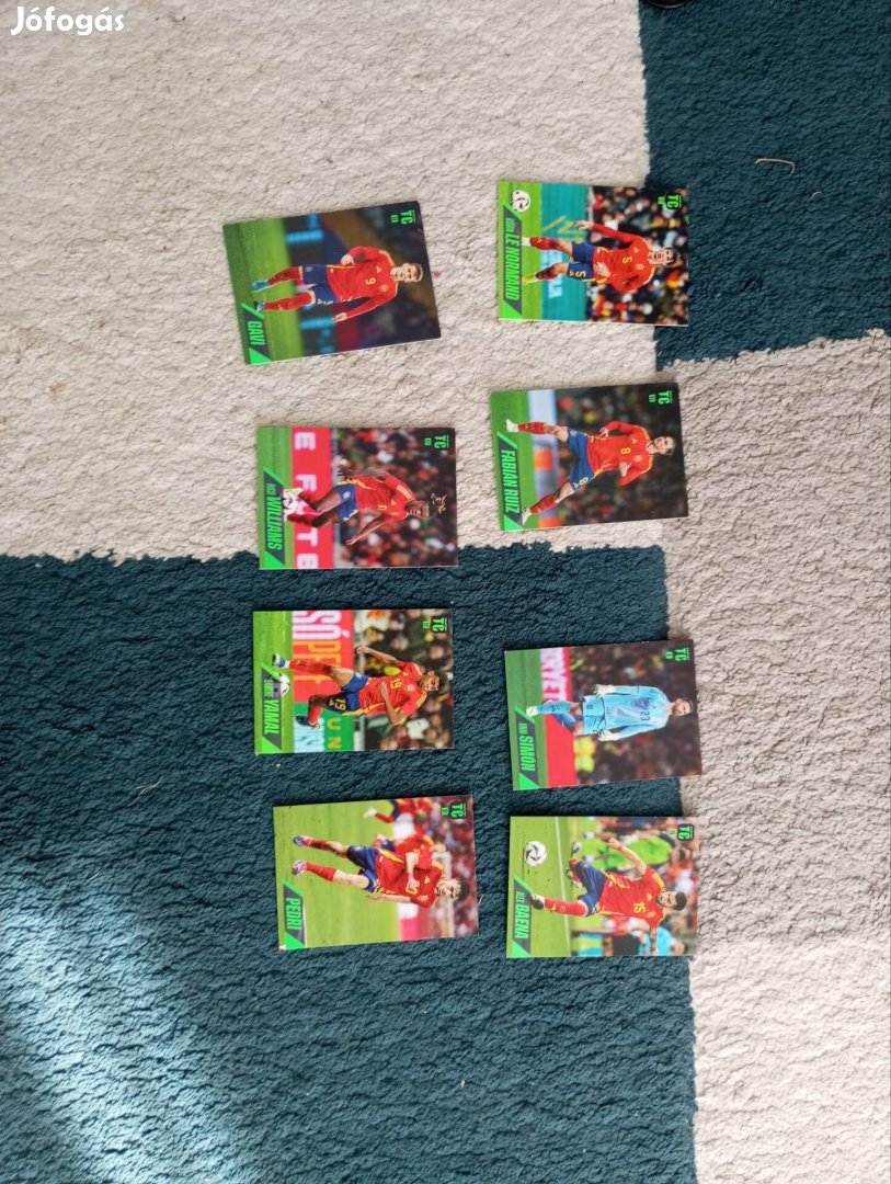 spanyol focist kártya