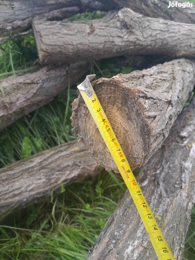 szôlôkaró 160-180 cm ültetveny tamasz, külteri jatszóter