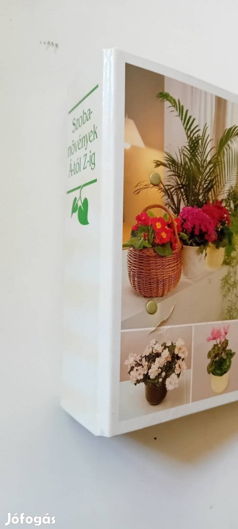 szobanövények A tól Z ig