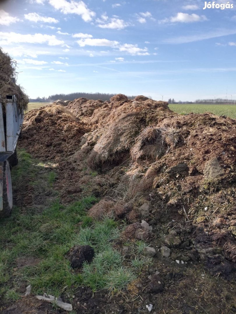 trágya eladó szállítással Sárvár kőrnyéken kis és