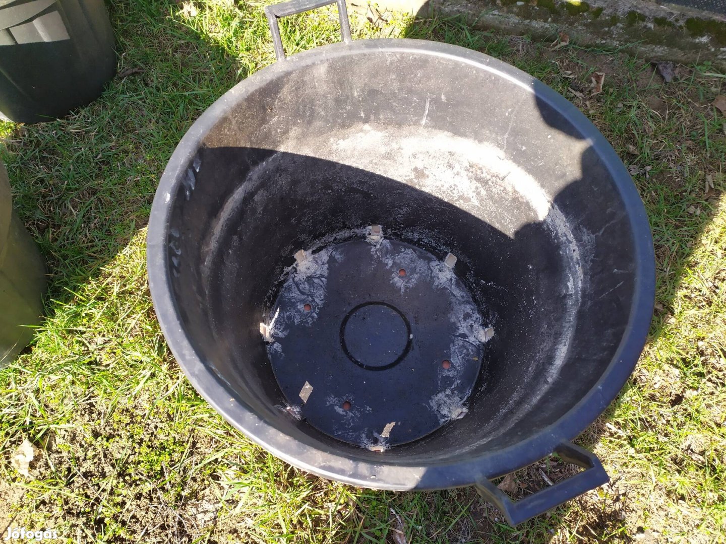 virág dézsa, leander dézsa