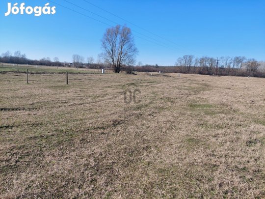 1000 négyzetméter szabadság  a döntés az Ön kezében