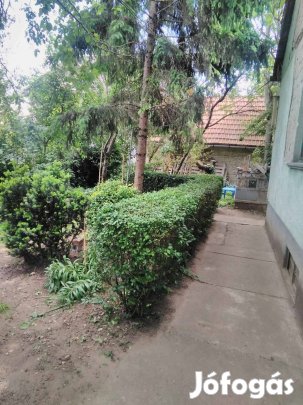 1000 négyzetméteres telek, kis házzal, kúttal 