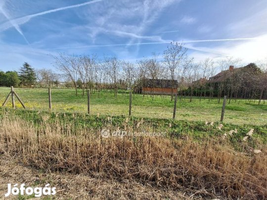 1000 nm-es telek eladó Tiszajenő