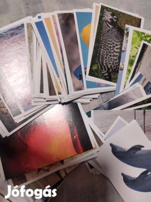 100 db különböző Spar Szigetmánia matrica - egyben 1.990,-