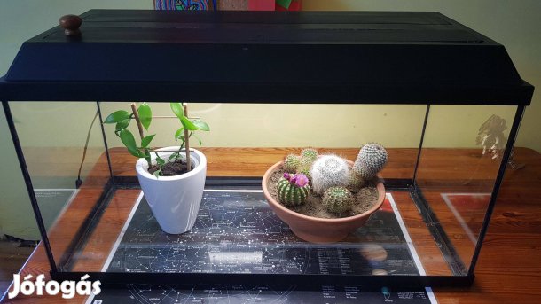 100 literes terrárium, szobakert, akvárium