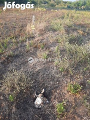 1046 nm-es telek eladó Hernád
