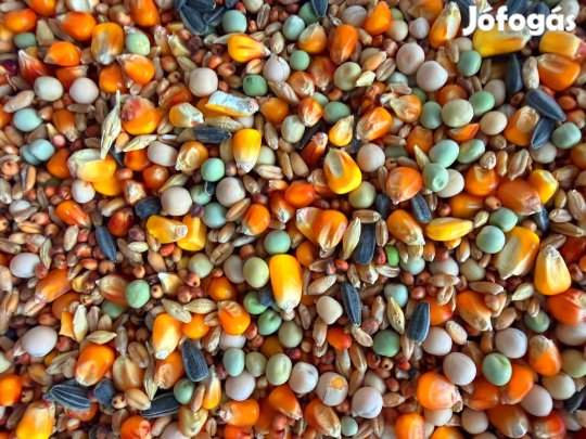 10 Magos galamb takarmány bevezető áron