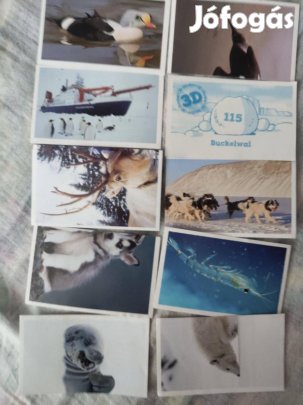 10 db külföldi Spar albumba való matrica