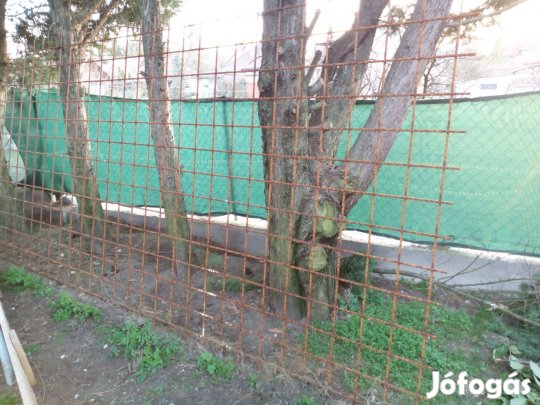 10-es betonháló (15 x 15 cm-es)