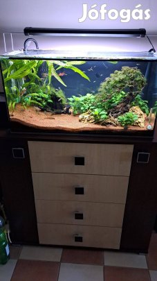112 literes akvárium szekrénnyel teljes felszereléssel 16.kerületből