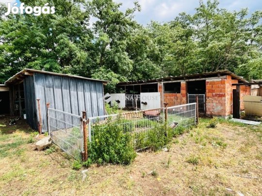 113 nm-es ház eladó Balástya