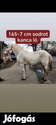 11 eves utlveles kanca