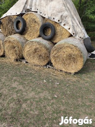 120x120as búza szalma csere érdekel.