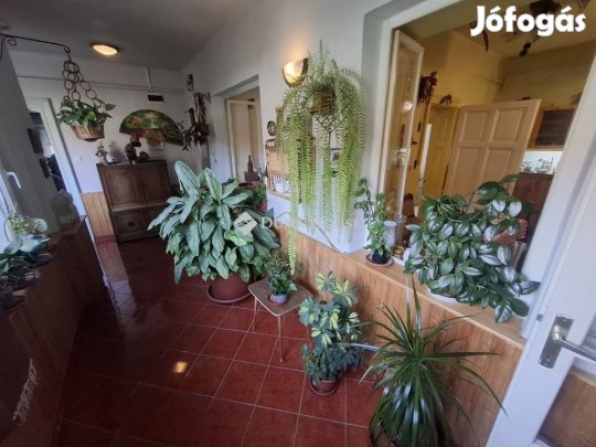 121 nm-es ház eladó Tiszaalpár