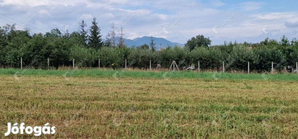 1363 m2-es építési telek eladó Sárospatakon a Végardó Fürdő közelében!