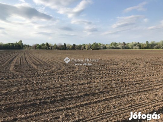 13791 nm-es telek eladó Gárdony
