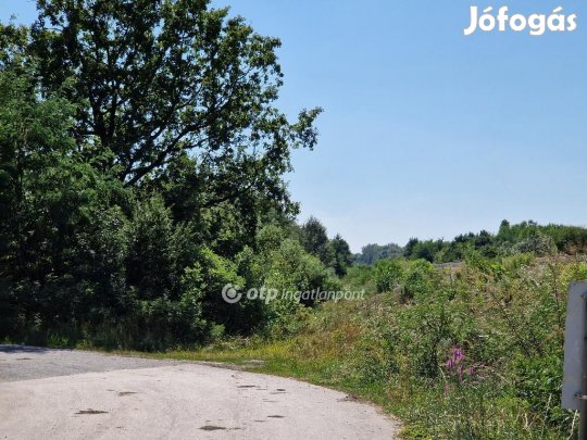 13824 nm-es telek eladó Hódmezővásárhely
