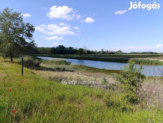13 hektár szántó, tó, tanya egyben eladó Pusztamérgesen!