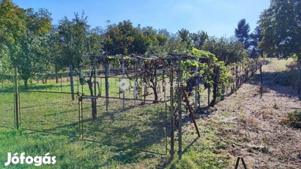 1424 nm-es telek eladó Hatvan