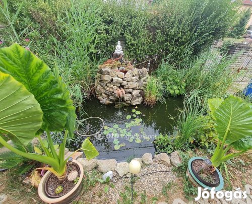 143 nm-es ház eladó Pécs