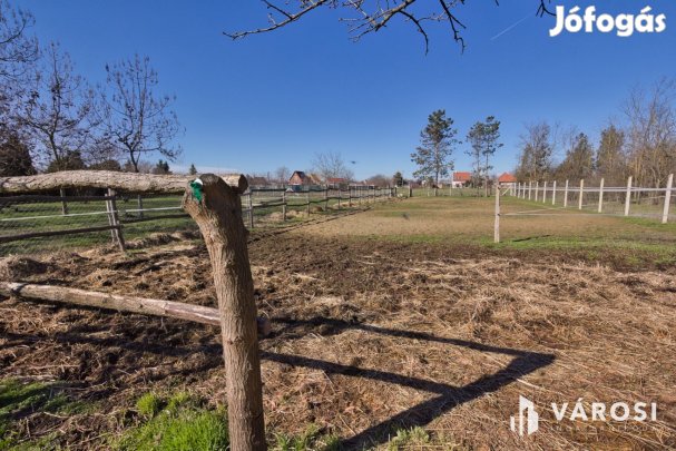 1450 m2-es telek karámmal, ló box-szal, kisházzal eladó