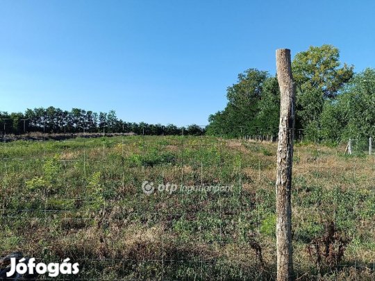 16000 nm-es telek eladó Nyíregyháza
