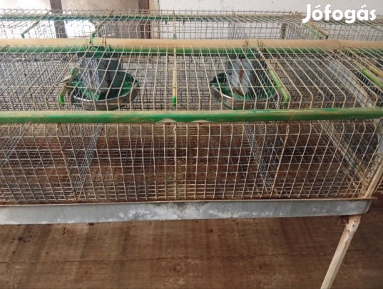 16 férőhelyes ketrec nyúlketrec állvánnyal együtt eladó 