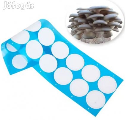 16db 6cm-es Hidrofob Lélegeztető Membránszelep   (6263)