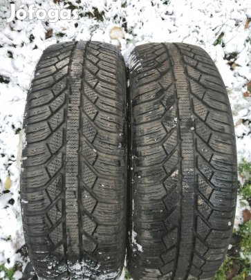 185/65r15 téligumi 