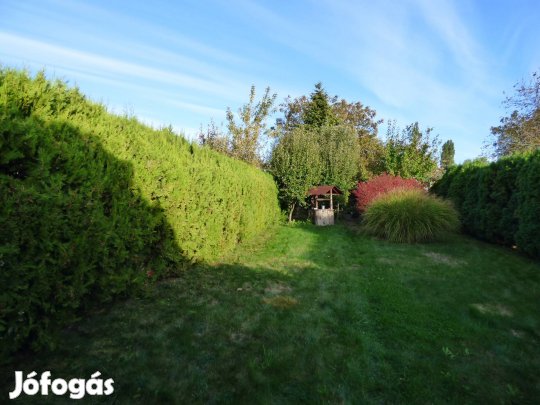 1+1 Ajandék csaladi haz!