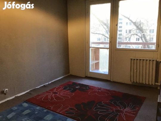 1,5 szobás összkomfortos lakás kiadó a Havanna lakótelepen