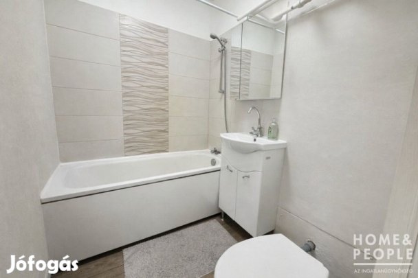 1,5 szobás panel lakás eladó Hódmezővásárhelyen!