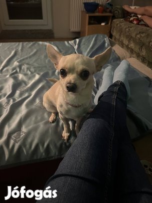 1 eves kislany ajdékba