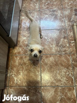 1eves kislany félig ajandekba