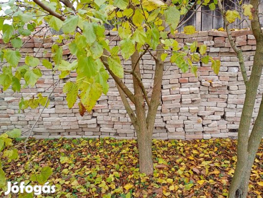 2000-2500 db bontott tégla Gyôr mellett