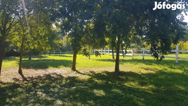 2000 m2 belterületi telek kiváló helyen