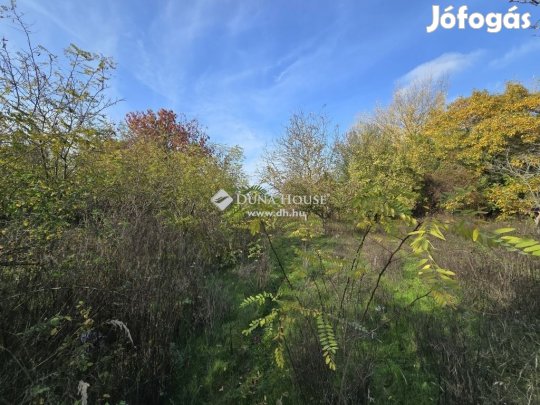 2000 nm-es telek eladó Szabadbattyán