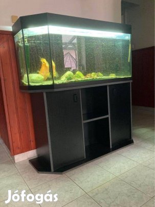 200 L akvárium teljes felszereléssel