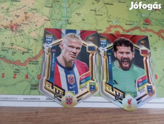 2026-os focis kártya