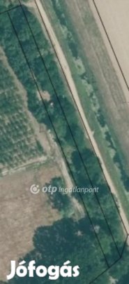 2068 nm-es telek eladó Tiszaszőlős